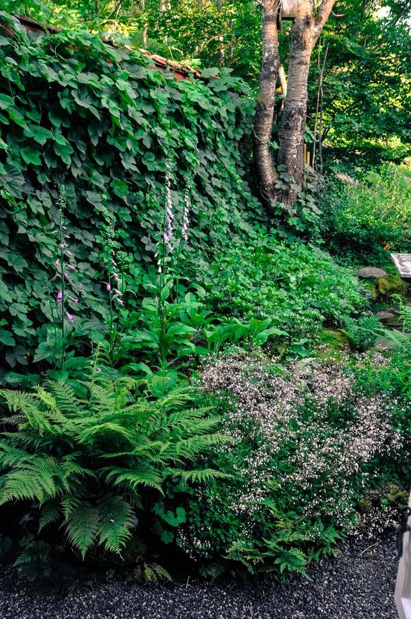 Hakesgard Bed&Garden Bed & Breakfast Veddige Екстериор снимка